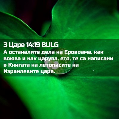 Picture 02 - 3 Царе 14:19 BULG - А останалите дела на - Bible Verse Picture