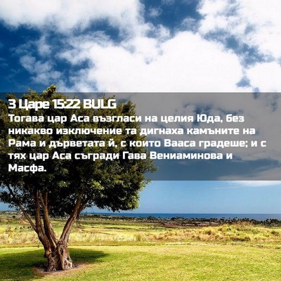 Picture 02 - 3 Царе 15:22 BULG - Тогава цар Аса възгласи на - Bible Verse Picture
