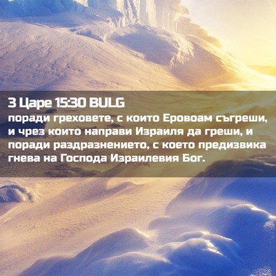 Picture 02 - 3 Царе 15:30 BULG - поради греховете, с които - Bible Verse Picture