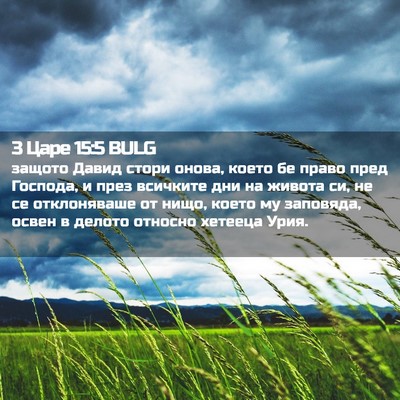 Picture 02 - 3 Царе 15:5 BULG - защото Давид стори онова, - Bible Verse Picture