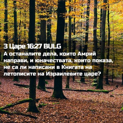 Picture 02 - 3 Царе 16:27 BULG - А останалите дела, които - Bible Verse Picture