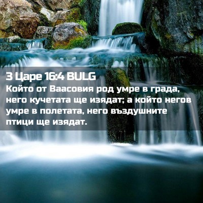Picture 02 - 3 Царе 16:4 BULG - Който от Ваасовия род умре - Bible Verse Picture