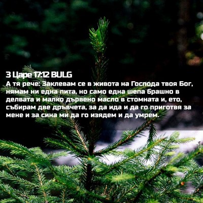 Picture 02 - 3 Царе 17:12 BULG - А тя рече: Заклевам се в - Bible Verse Picture