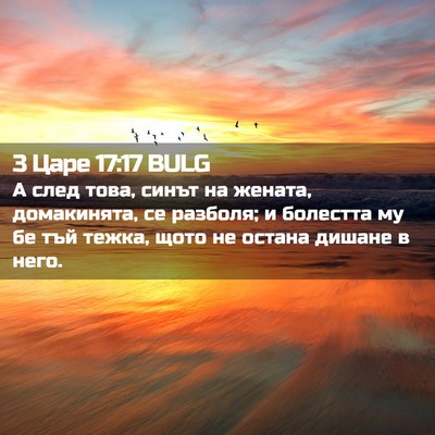Picture 02 - 3 Царе 17:17 BULG - А след това, синът на - Bible Verse Picture
