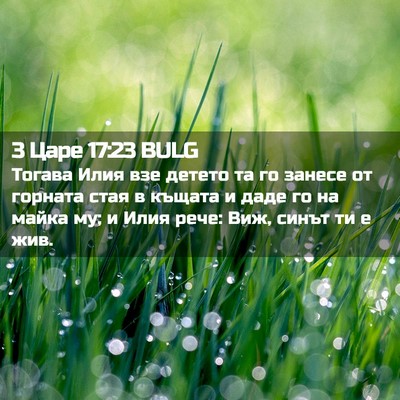 Picture 02 - 3 Царе 17:23 BULG - Тогава Илия взе детето та - Bible Verse Picture