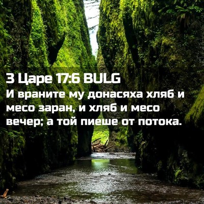 Picture 02 - 3 Царе 17:6 BULG - И враните му донасяха хляб - Bible Verse Picture