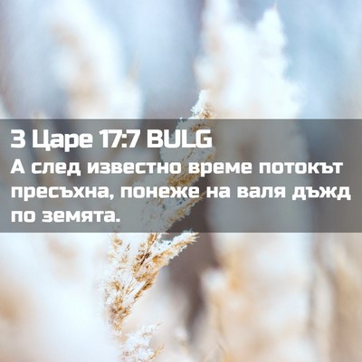 Picture 02 - 3 Царе 17:7 BULG - А след известно време - Bible Verse Picture