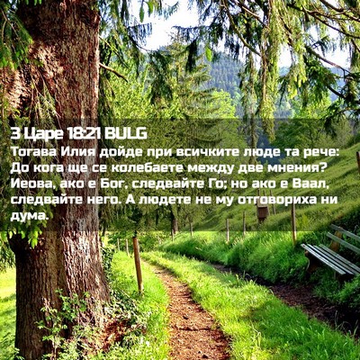 Picture 02 - 3 Царе 18:21 BULG - Тогава Илия дойде при - Bible Verse Picture
