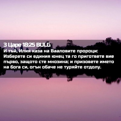 Picture 02 - 3 Царе 18:25 BULG - И тъй, Илия каза на - Bible Verse Picture
