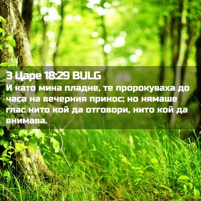 Picture 02 - 3 Царе 18:29 BULG - И като мина пладне, те - Bible Verse Picture