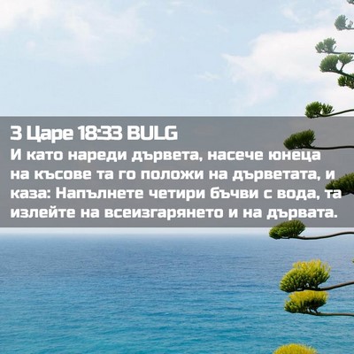 Picture 02 - 3 Царе 18:33 BULG - И като нареди дървета, - Bible Verse Picture