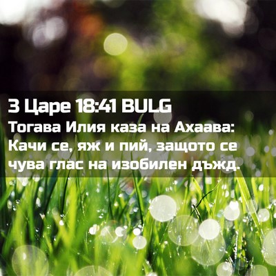 Picture 02 - 3 Царе 18:41 BULG - Тогава Илия каза на Ахаава: - Bible Verse Picture
