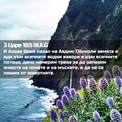 Picture 02 - 3 Царе 18:5 BULG - И Ахаав беше казал на - Bible Verse Picture