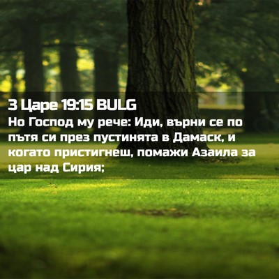 Picture 02 - 3 Царе 19:15 BULG - Но Господ му рече: Иди, - Bible Verse Picture