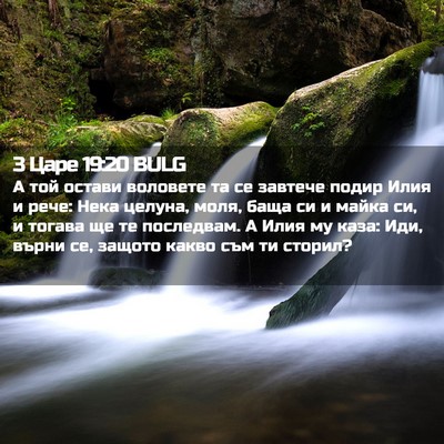 Picture 02 - 3 Царе 19:20 BULG - А той остави воловете та се - Bible Verse Picture