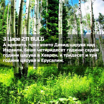 Picture 02 - 3 Царе 2:11 BULG - А времето, през което Давид - Bible Verse Picture