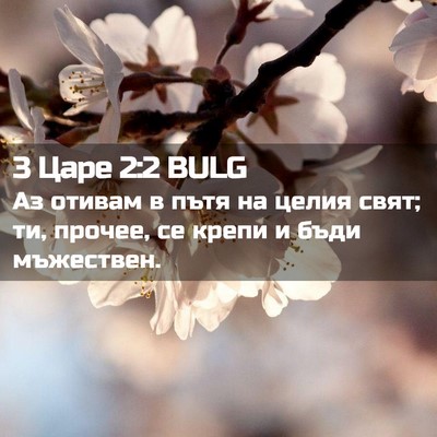 Picture 02 - 3 Царе 2:2 BULG - Аз отивам в пътя на целия - Bible Verse Picture