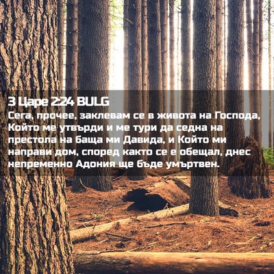 Picture 02 - 3 Царе 2:24 BULG - Сега, прочее, заклевам се в - Bible Verse Picture
