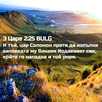Picture 02 - 3 Царе 2:25 BULG - И тъй, цар Соломон прати да - Bible Verse Picture