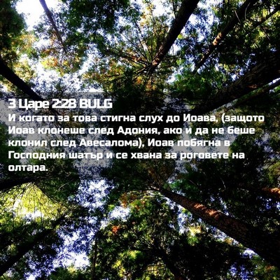 Picture 02 - 3 Царе 2:28 BULG - И когато за това стигна - Bible Verse Picture