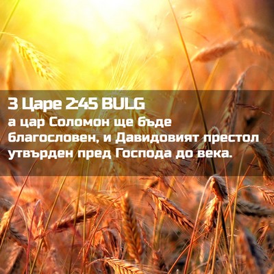 Picture 02 - 3 Царе 2:45 BULG - а цар Соломон ще бъде - Bible Verse Picture