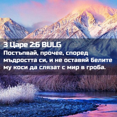 Picture 02 - 3 Царе 2:6 BULG - Постъпвай, прочее, според - Bible Verse Picture