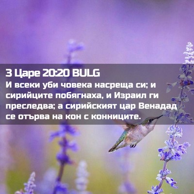 Picture 02 - 3 Царе 20:20 BULG - И всеки уби човека насреща - Bible Verse Picture