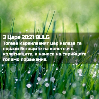 Picture 02 - 3 Царе 20:21 BULG - Тогава Израилевият цар - Bible Verse Picture