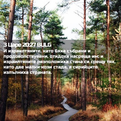 Picture 02 - 3 Царе 20:27 BULG - И израилтяните, като бяха - Bible Verse Picture