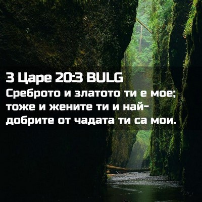 Picture 02 - 3 Царе 20:3 BULG - Среброто и златото ти е - Bible Verse Picture