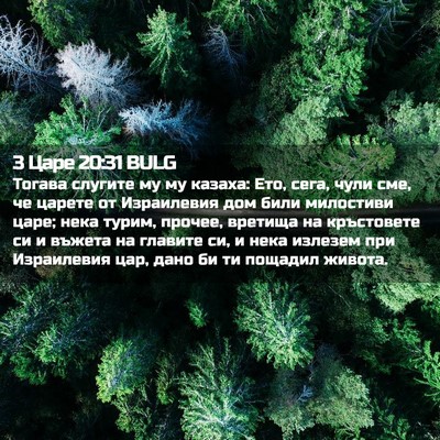 Picture 02 - 3 Царе 20:31 BULG - Тогава слугите му му - Bible Verse Picture