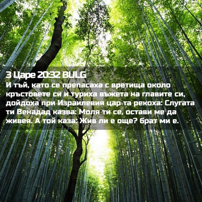 Picture 02 - 3 Царе 20:32 BULG - И тъй, като се препасаха с - Bible Verse Picture