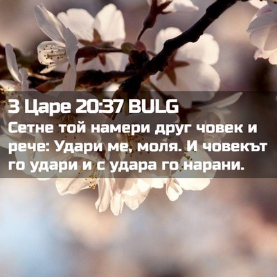 Picture 02 - 3 Царе 20:37 BULG - Сетне той намери друг - Bible Verse Picture