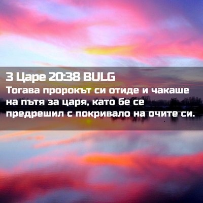 Picture 02 - 3 Царе 20:38 BULG - Тогава пророкът си отиде и - Bible Verse Picture