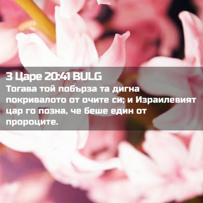 Picture 02 - 3 Царе 20:41 BULG - Тогава той побърза та - Bible Verse Picture