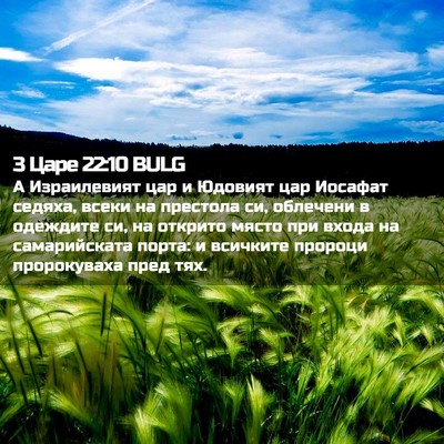 Picture 02 - 3 Царе 22:10 BULG - А Израилевият цар и - Bible Verse Picture