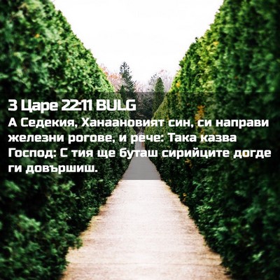 Picture 02 - 3 Царе 22:11 BULG - А Седекия, Ханаановият син, - Bible Verse Picture
