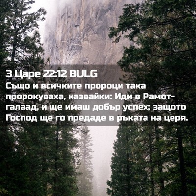 Picture 02 - 3 Царе 22:12 BULG - Също и всичките пророци - Bible Verse Picture