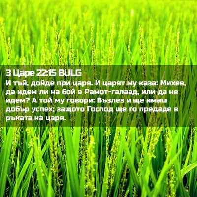 Picture 02 - 3 Царе 22:15 BULG - И тъй, дойде при царя. И - Bible Verse Picture