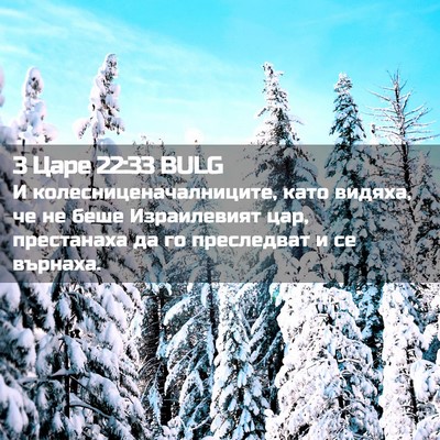 Picture 02 - 3 Царе 22:33 BULG - И колесниценачалниците, - Bible Verse Picture