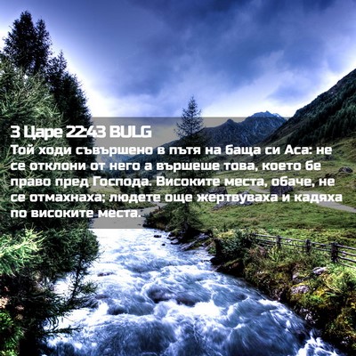 Picture 02 - 3 Царе 22:43 BULG - Той ходи съвършено в пътя - Bible Verse Picture