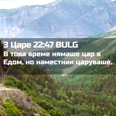 Picture 02 - 3 Царе 22:47 BULG - В това време нямаше цар в - Bible Verse Picture