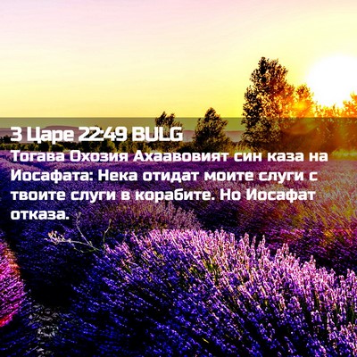 Picture 02 - 3 Царе 22:49 BULG - Тогава Охозия Ахаавовият - Bible Verse Picture