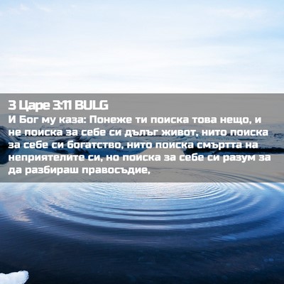 Picture 02 - 3 Царе 3:11 BULG - И Бог му каза: Понеже ти - Bible Verse Picture
