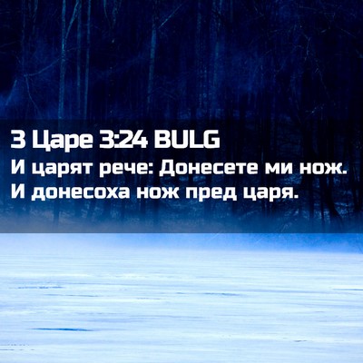 Picture 02 - 3 Царе 3:24 BULG - И царят рече: Донесете ми - Bible Verse Picture