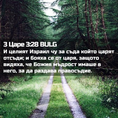 Picture 02 - 3 Царе 3:28 BULG - И целият Израил чу за съда - Bible Verse Picture