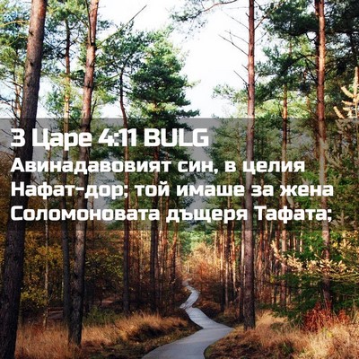Picture 02 - 3 Царе 4:11 BULG - Авинадавовият син, в целия - Bible Verse Picture