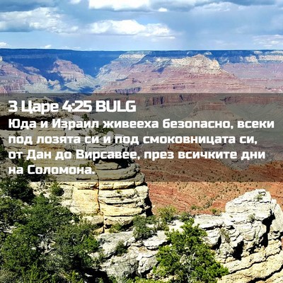 Picture 02 - 3 Царе 4:25 BULG - Юда и Израил живееха - Bible Verse Picture