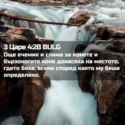 Picture 02 - 3 Царе 4:28 BULG - Още ечемик и слама за - Bible Verse Picture
