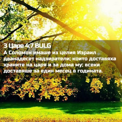 Picture 02 - 3 Царе 4:7 BULG - А Соломон имаше из целия - Bible Verse Picture